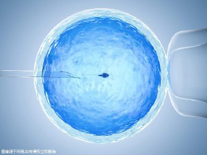 严重少弱精